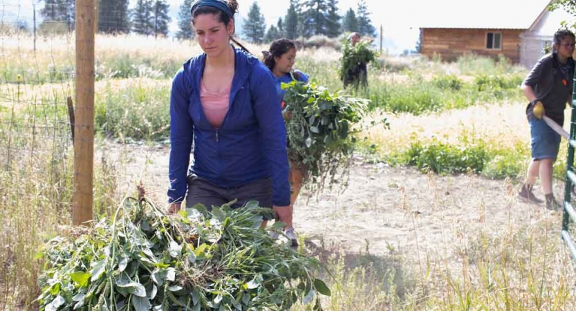 a student maneuvers a wheelbarrow full of weeds on a service project with outward bound